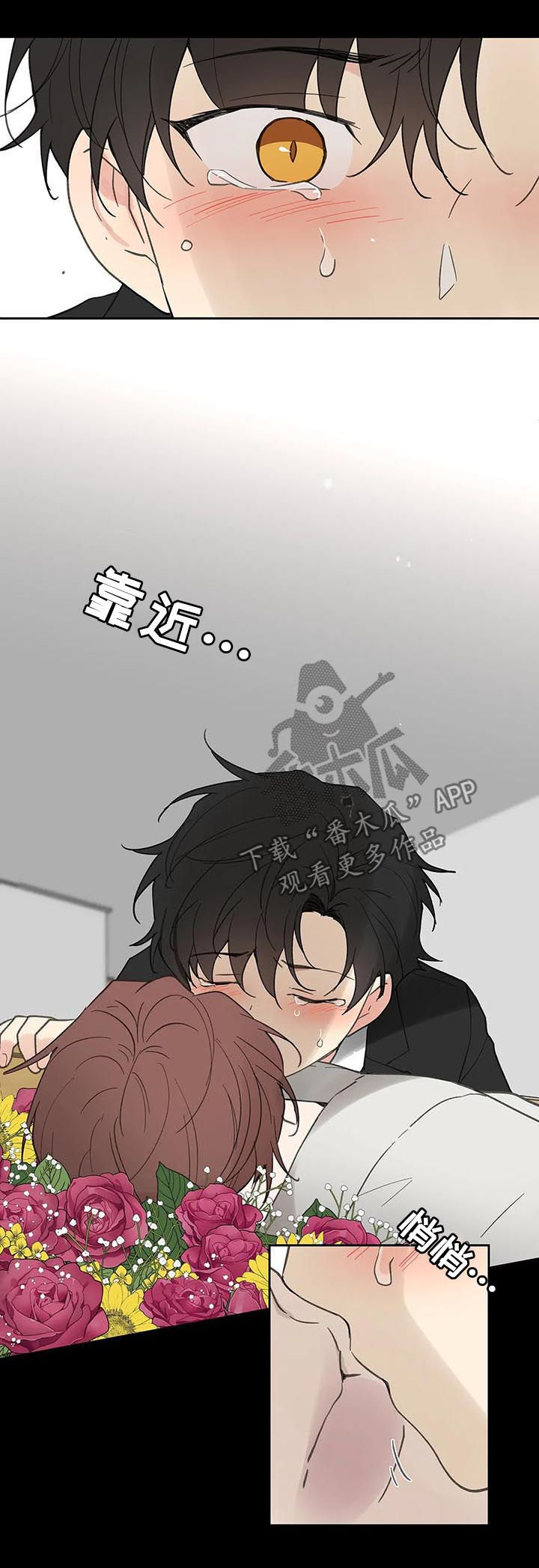 第118章：记忆18