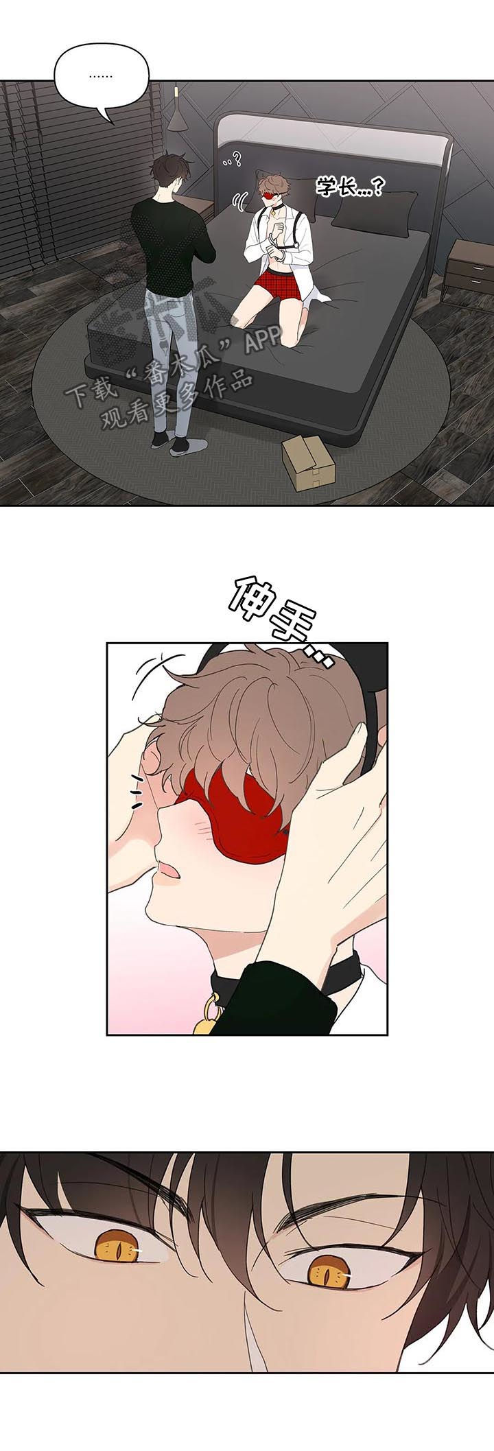 第64章：体验2