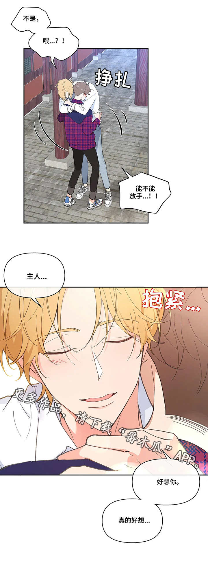 第22章：老外7