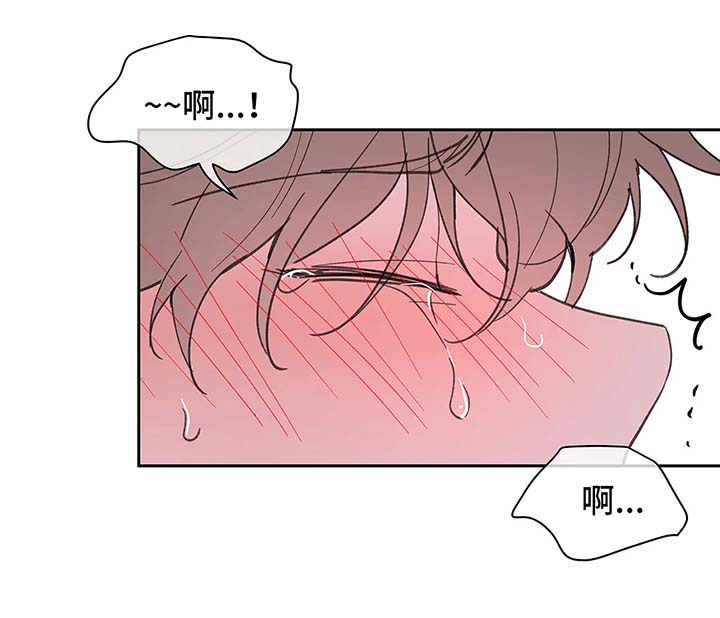 第53章：昏迷13