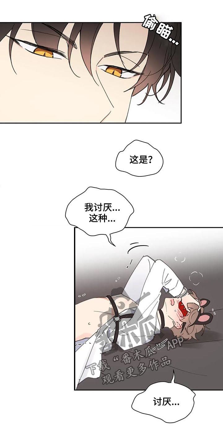 第65章：你需要的11