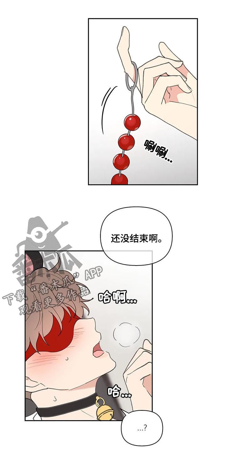 第64章：体验15