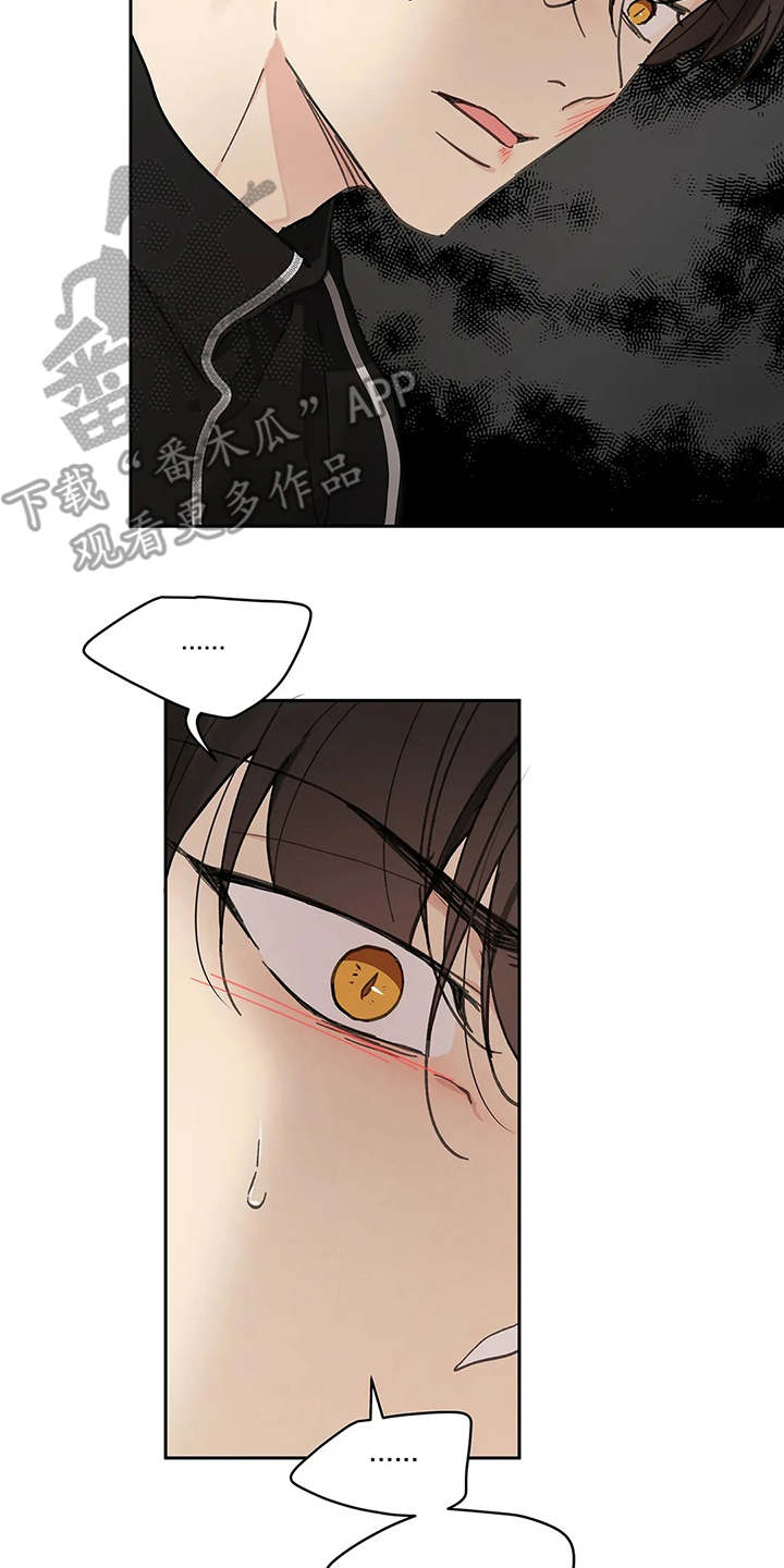第143章：【番外】所需要的6