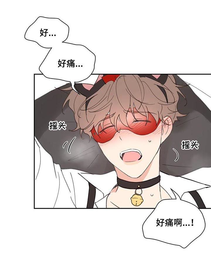 第65章：你需要的10