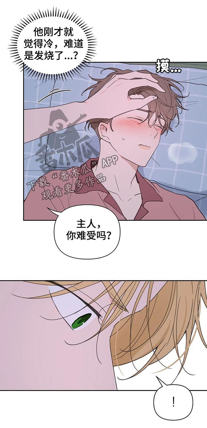 第107章：喂药7