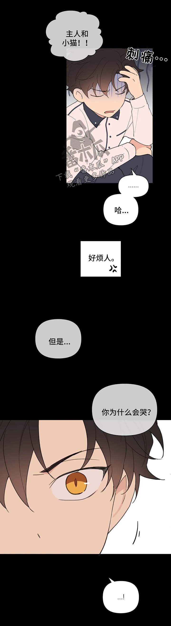 第78章：喜欢漂亮的2