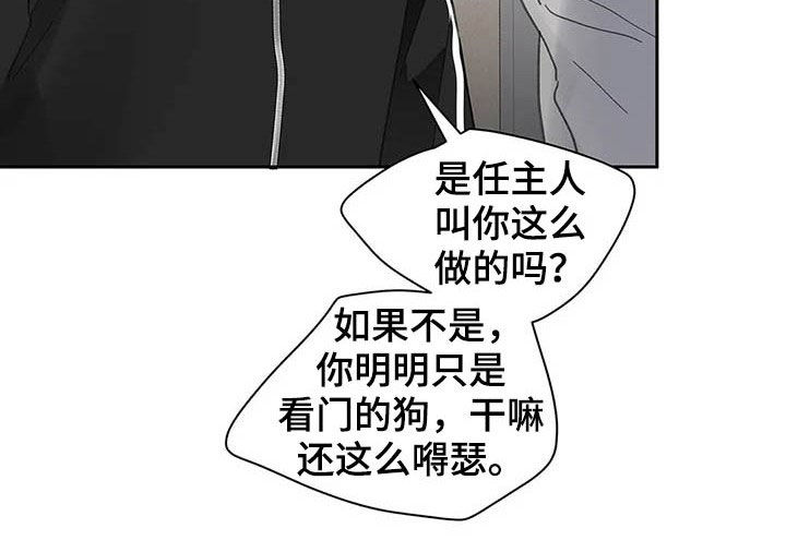 第139章：【番外】重拳15