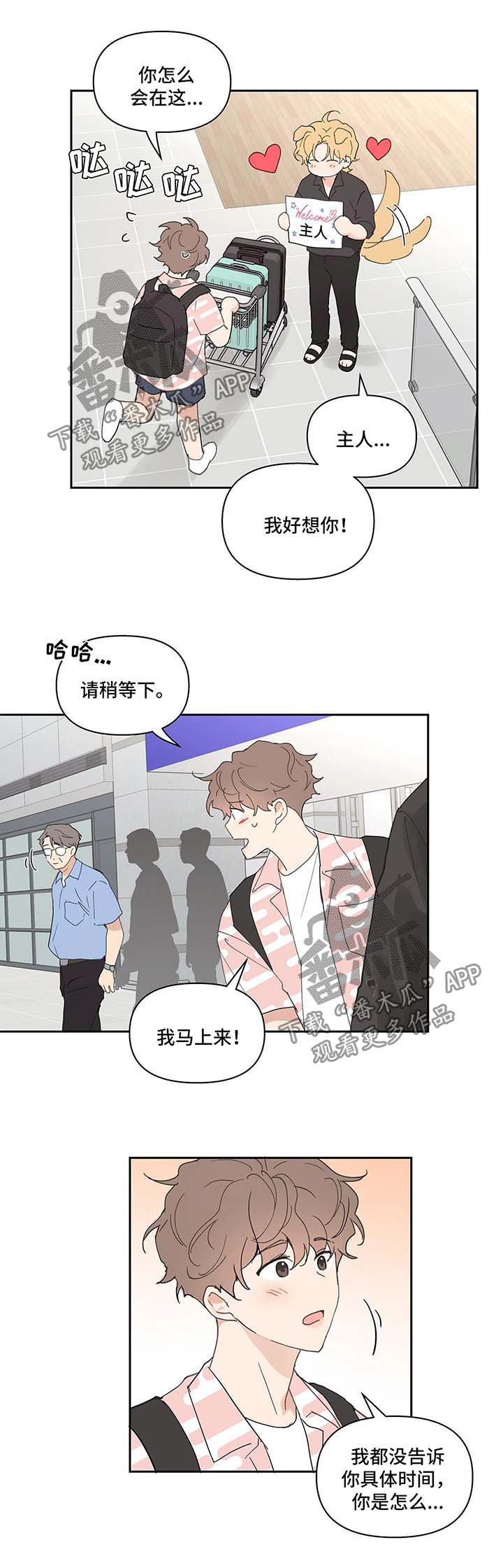 第46章：国外旅行8