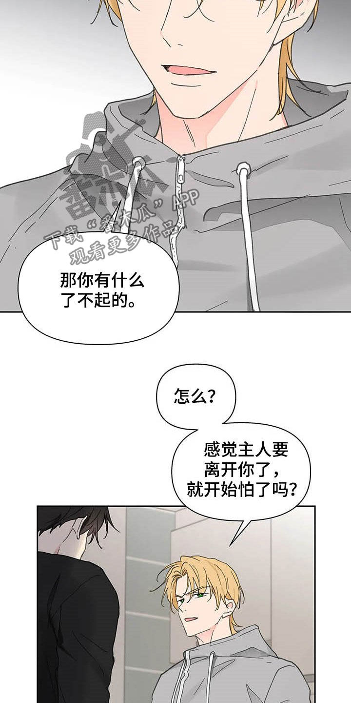 第139章：【番外】重拳19