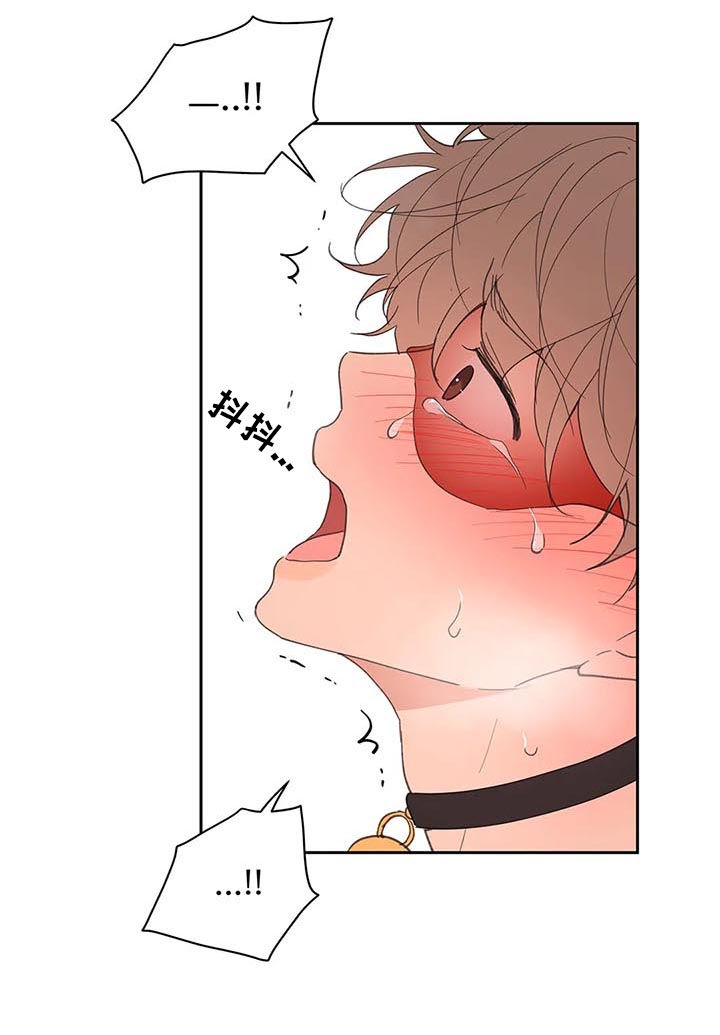 第65章：你需要的5