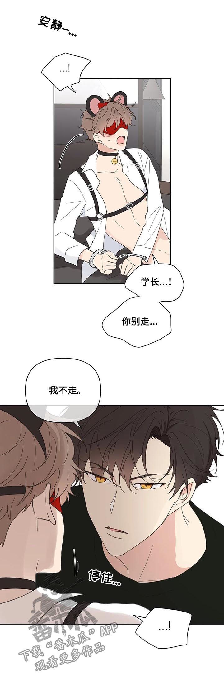 第65章：你需要的16