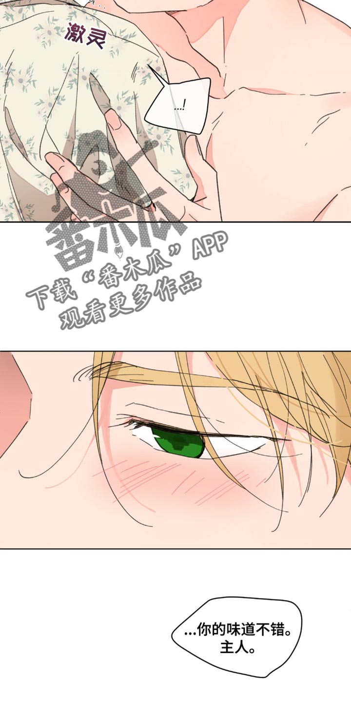 第148章：【番外】沉默不语7