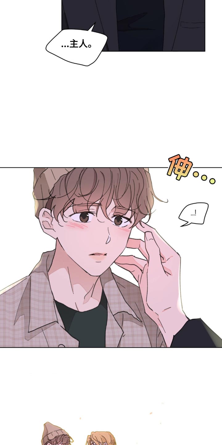 第147章：【番外】总是被吸引12