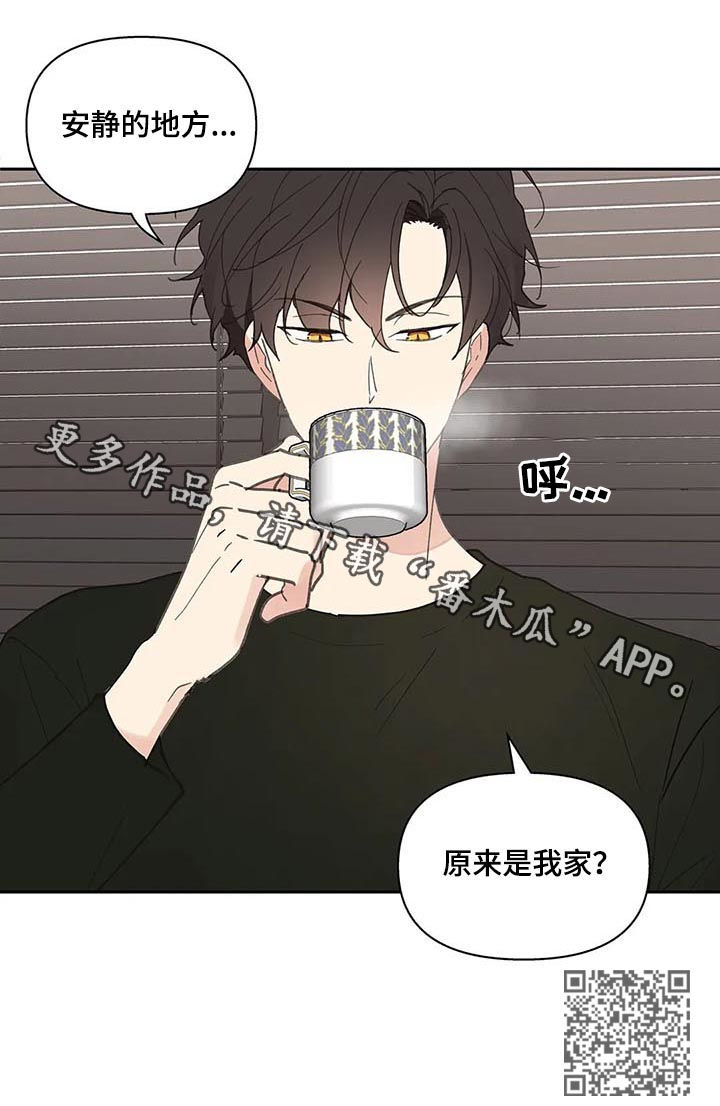 第62章：安静的地方11