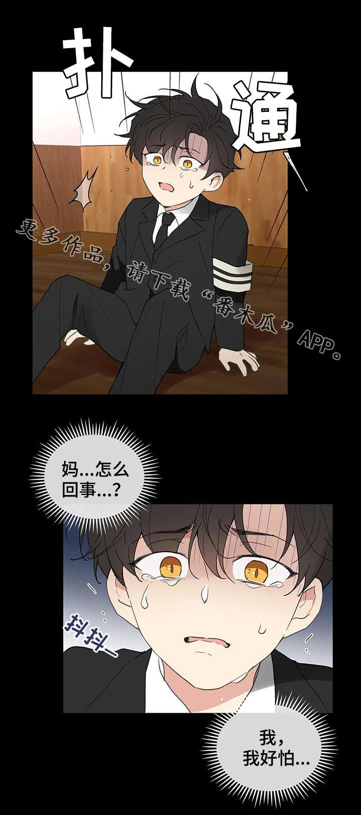 第118章：记忆20