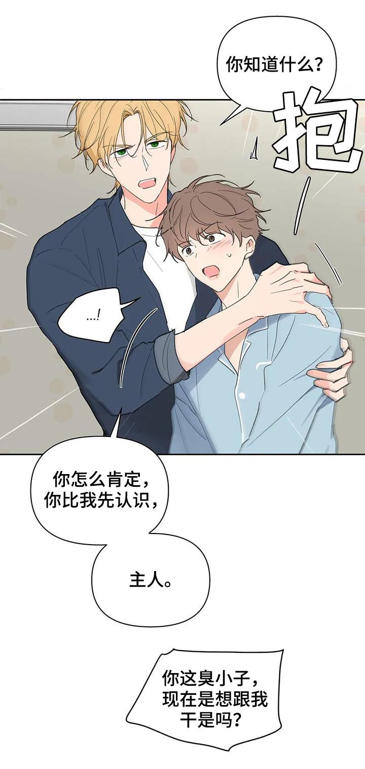 第116章：够了19