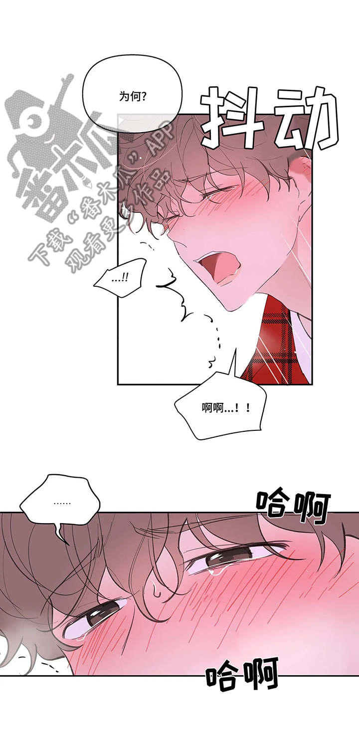 第38章：看法5