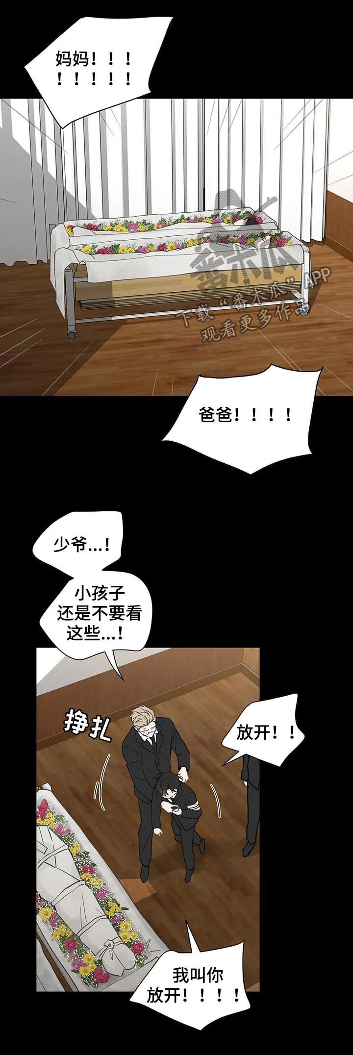 第118章：记忆15