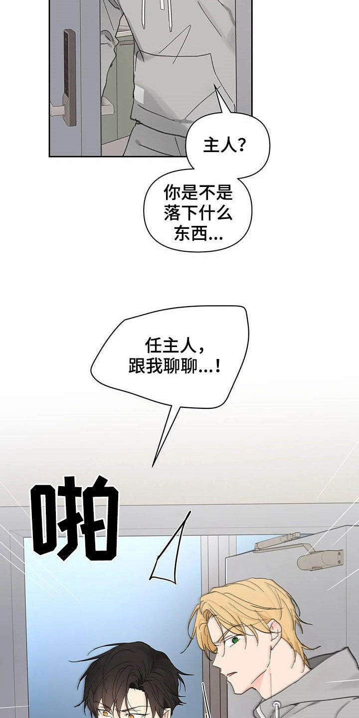 第139章：【番外】重拳11