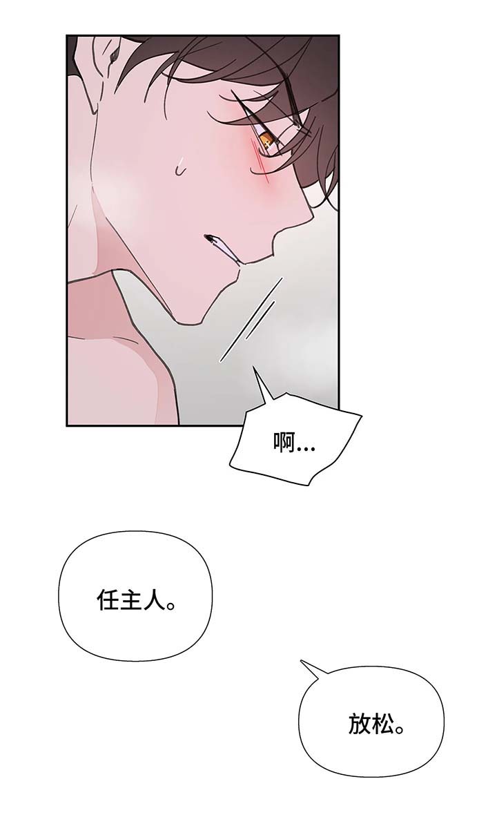 第53章：昏迷17