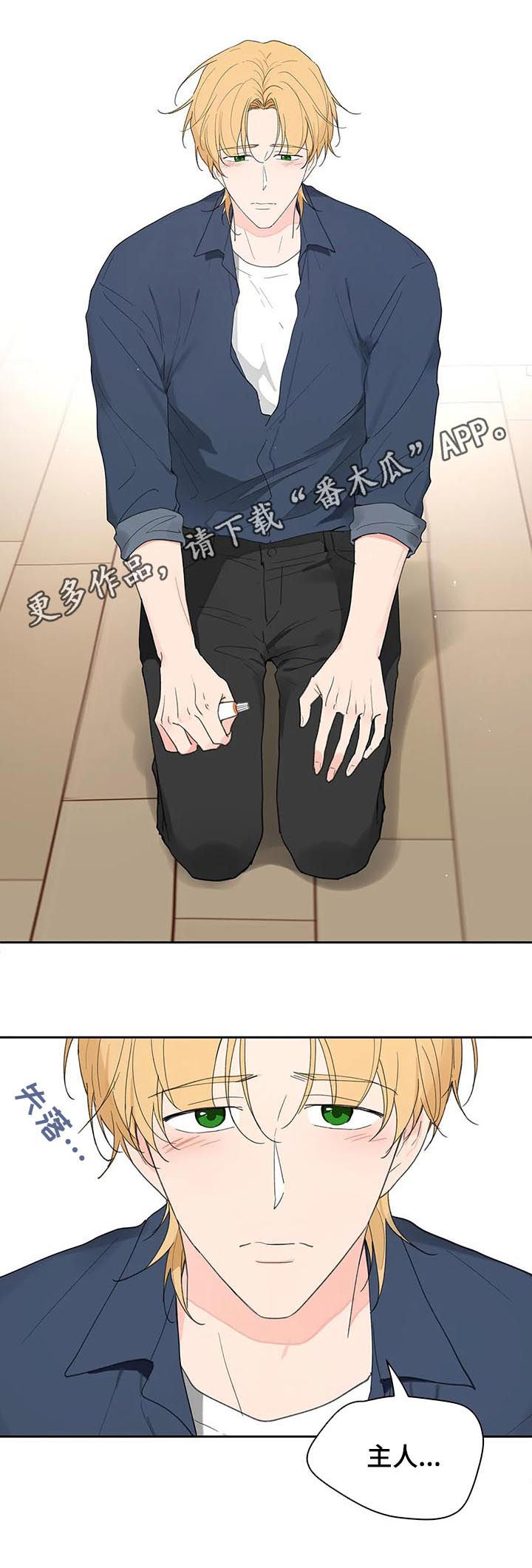 第120章：平静0