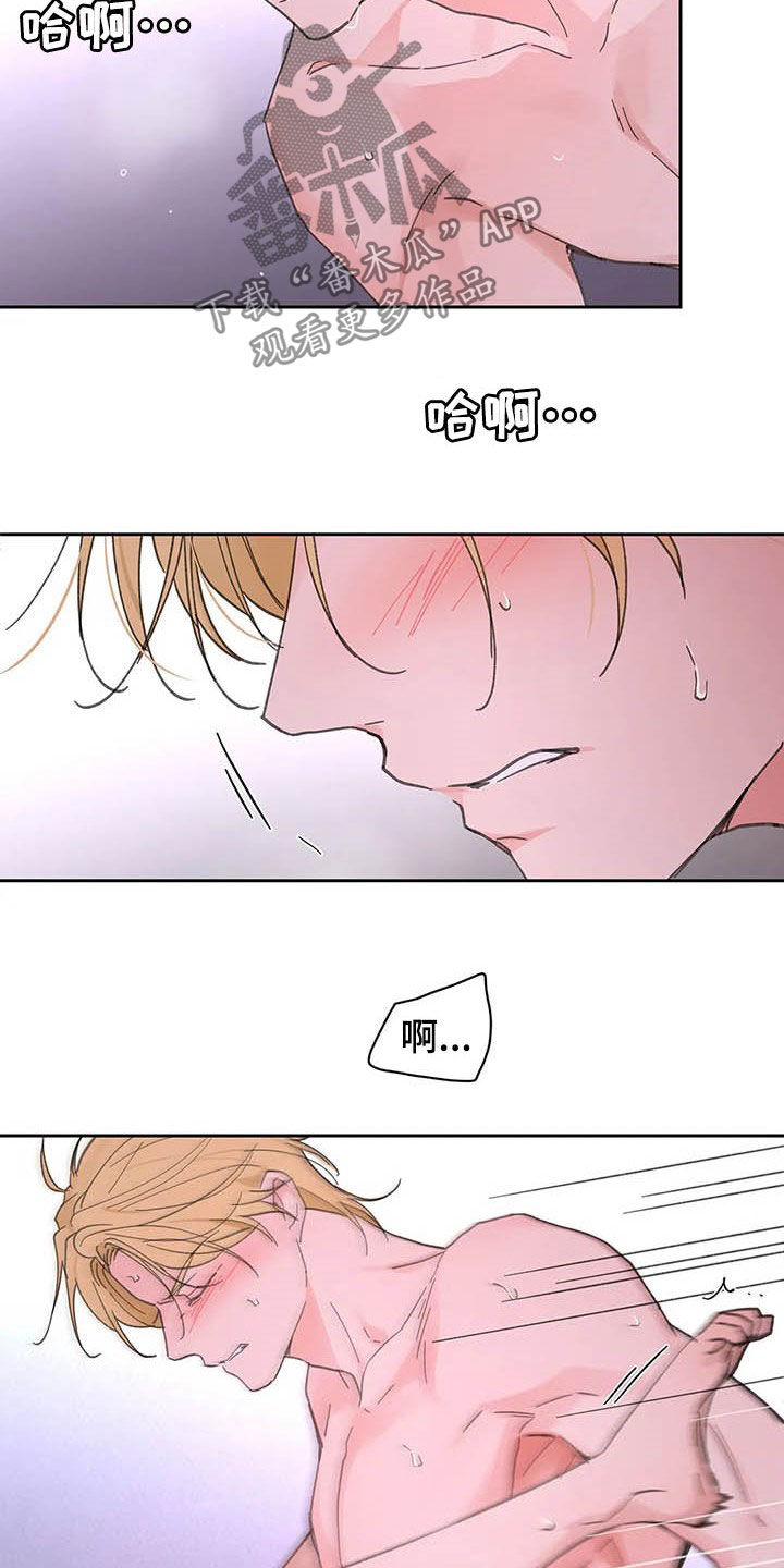 第138章：【番外】不会道歉4