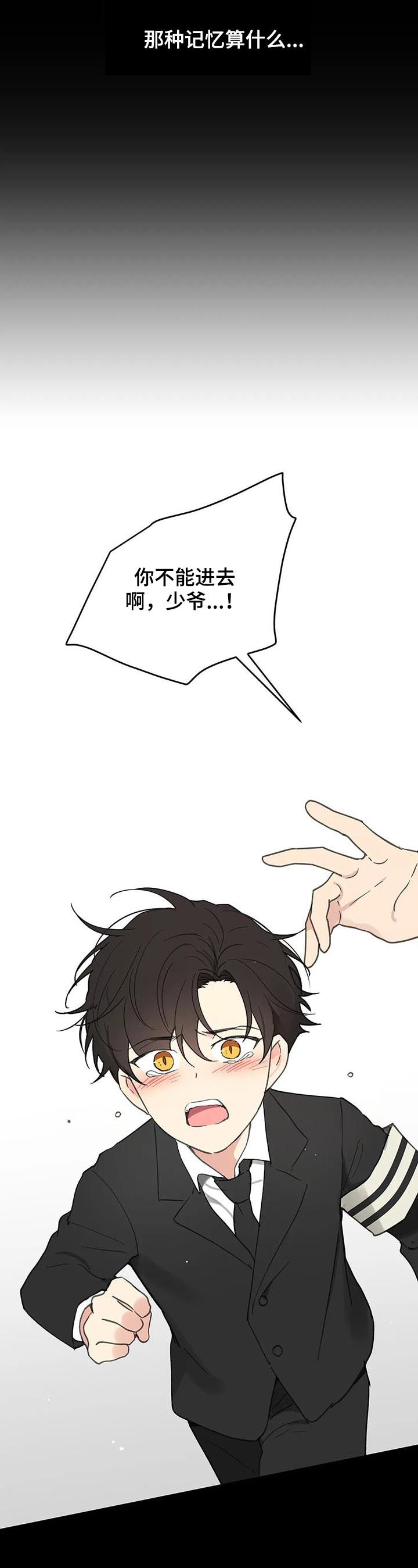 第118章：记忆14