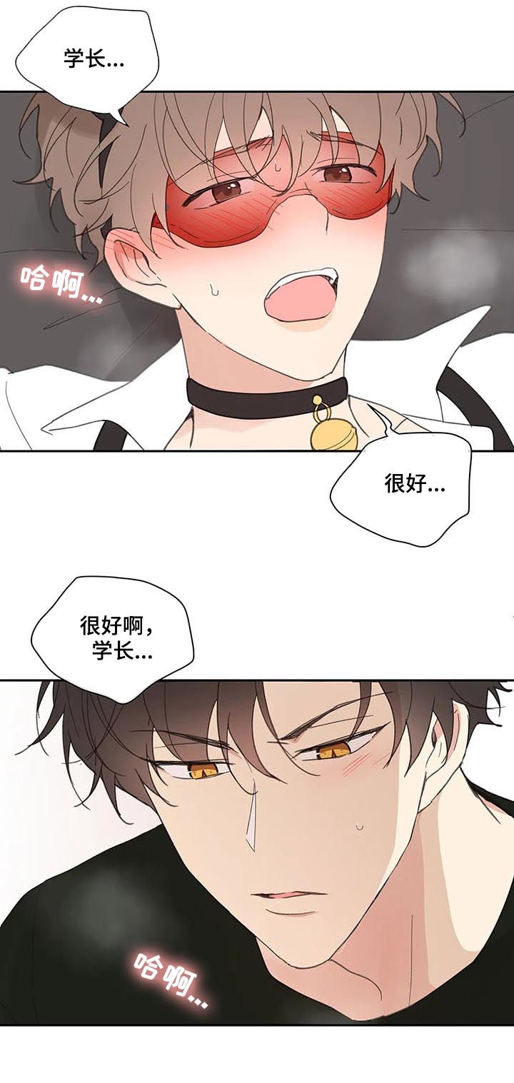 第66章：期待一次12