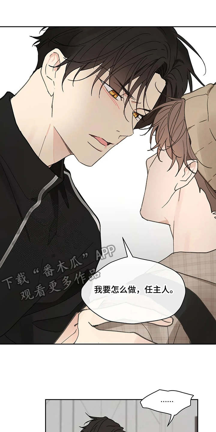 第142章：【番外】想要挽回13