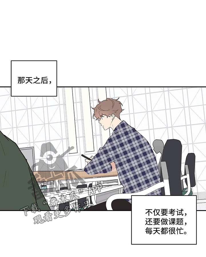 第45章：再次见面3