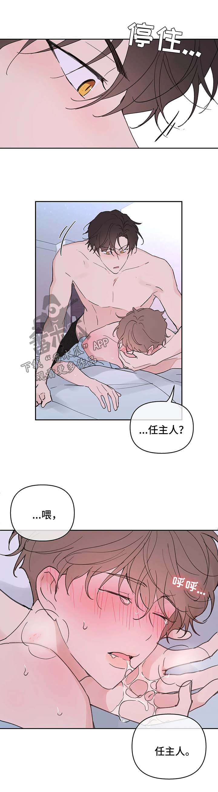 第53章：昏迷26