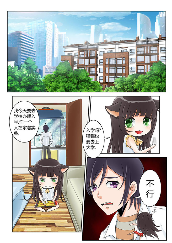 第2章：猫猫去学校0