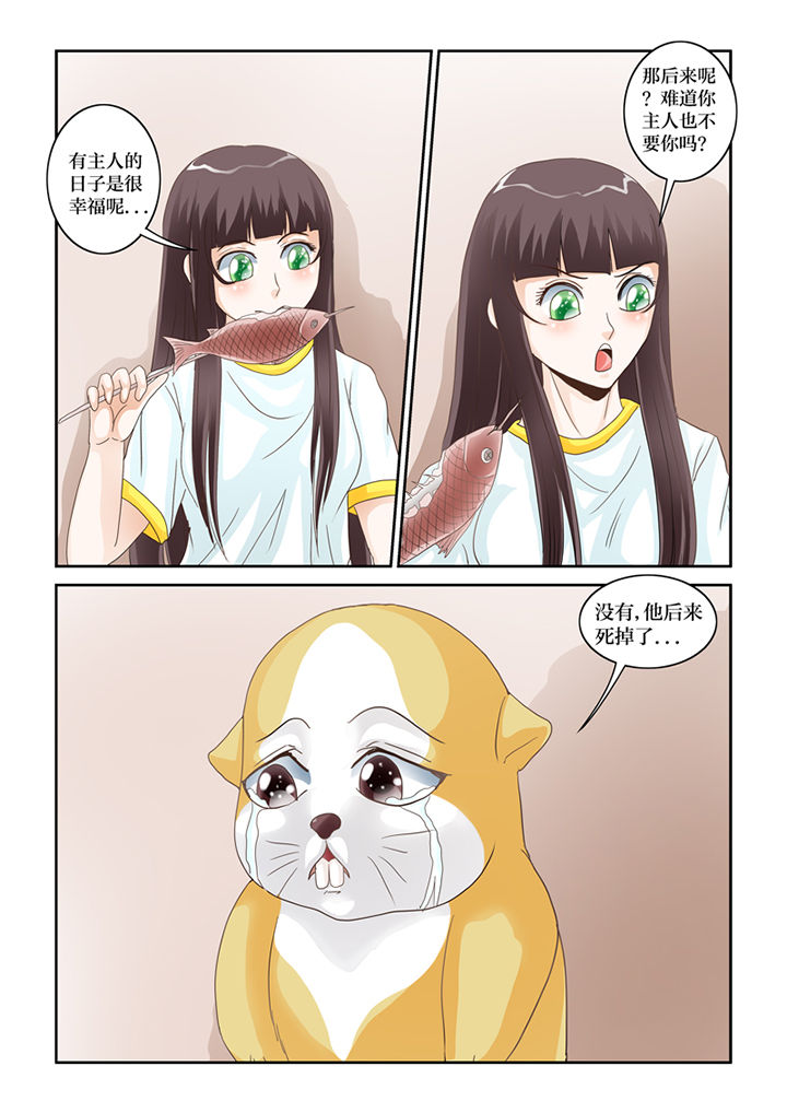 第57章：招财进宝11