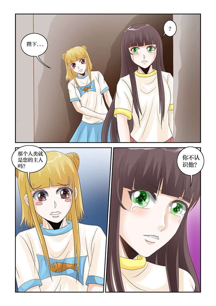 第62章：误会10