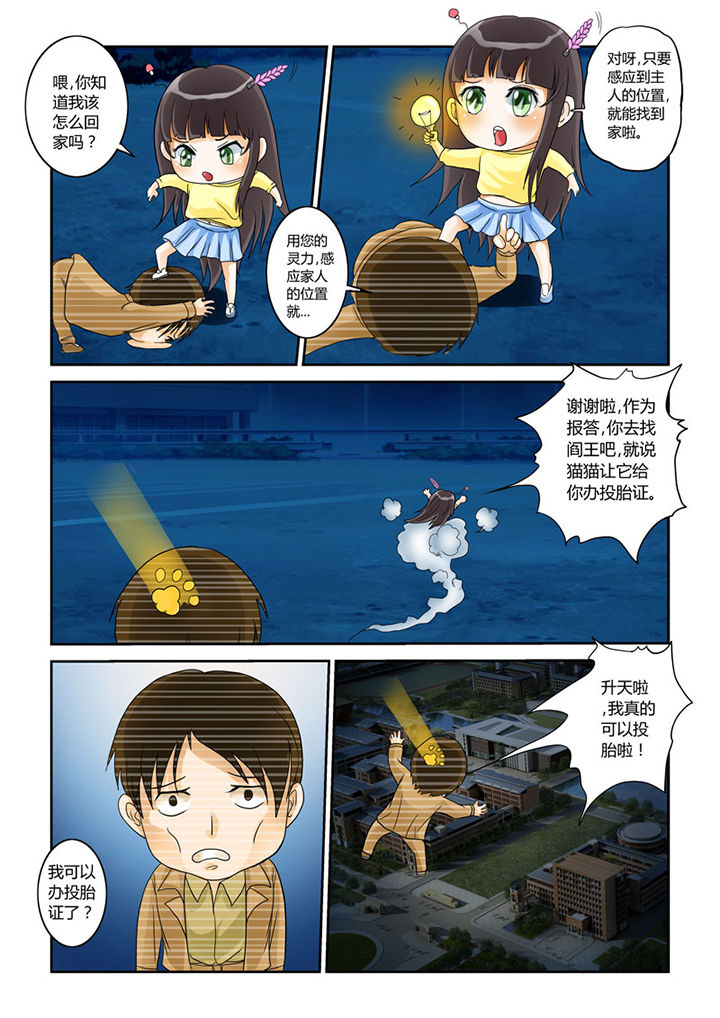 第4章：猫猫丢了吗9
