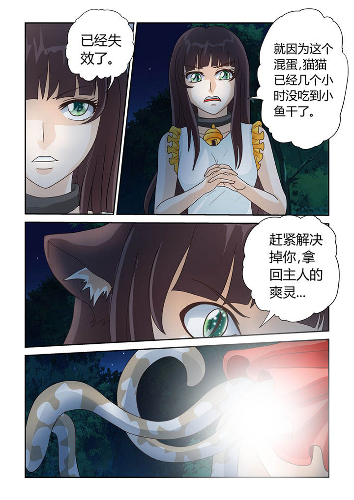 第11章：树妖6