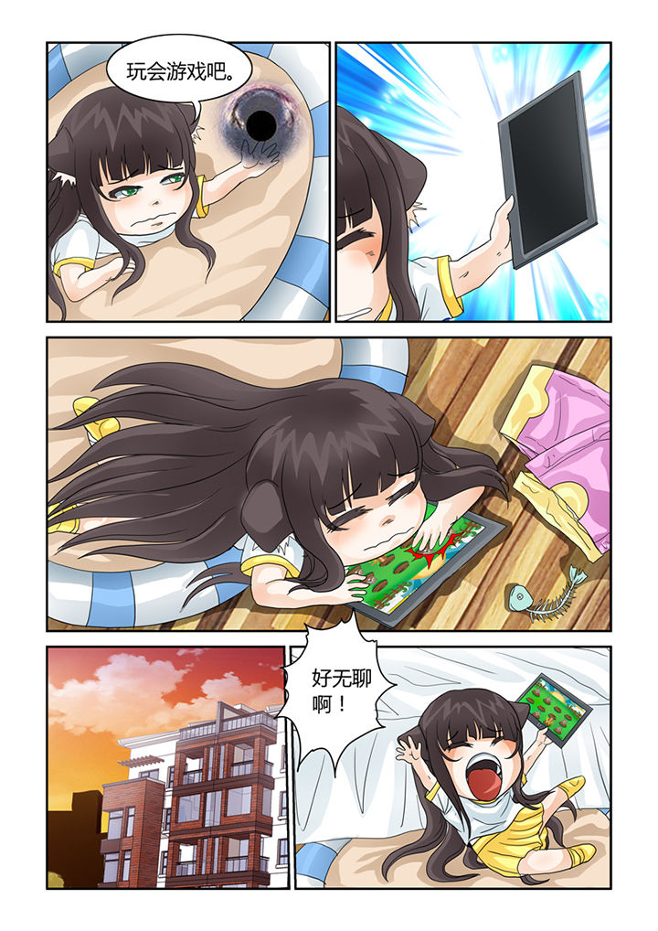 第41章：猫猫的一天5