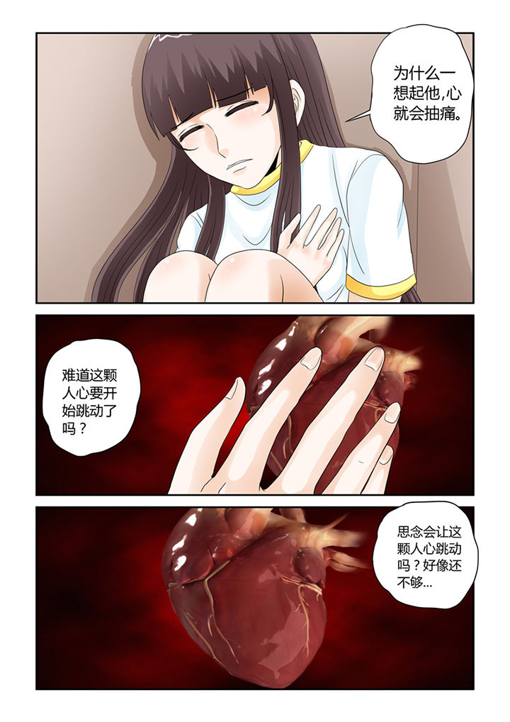 第54章：流浪猫10