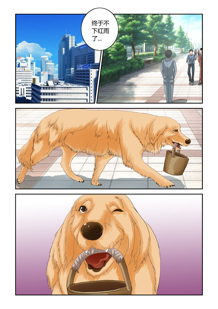 第46章：魔猫7