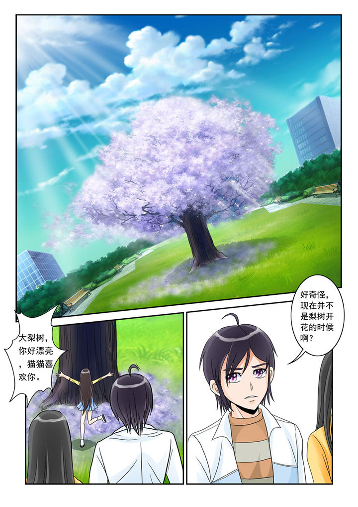 第2章：猫猫去学校8