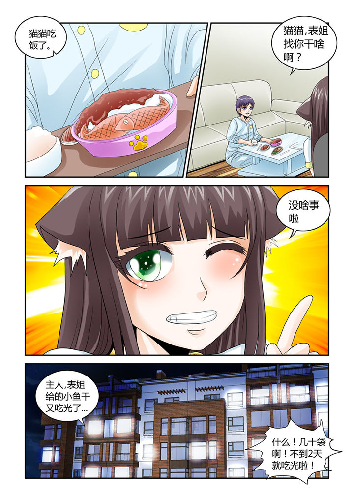 第46章：魔猫6