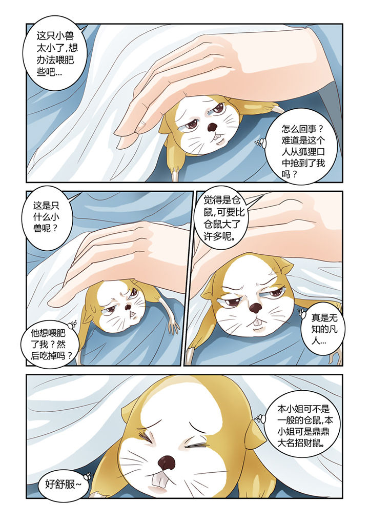 第56章：仓鼠的回忆12