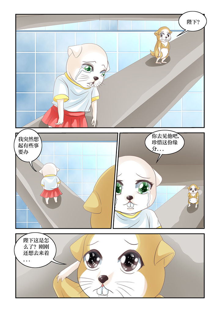 第62章：误会1
