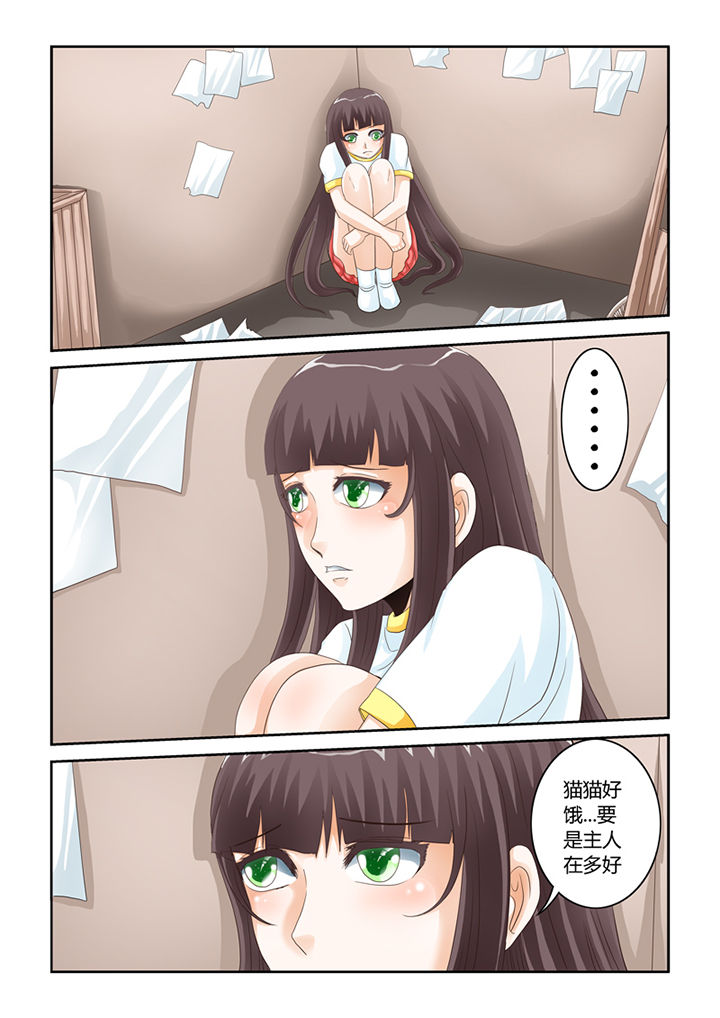 第54章：流浪猫9