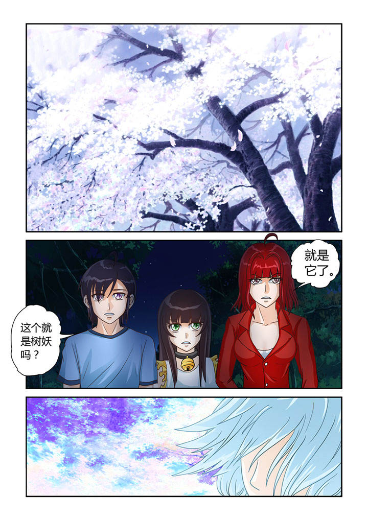 第11章：树妖3