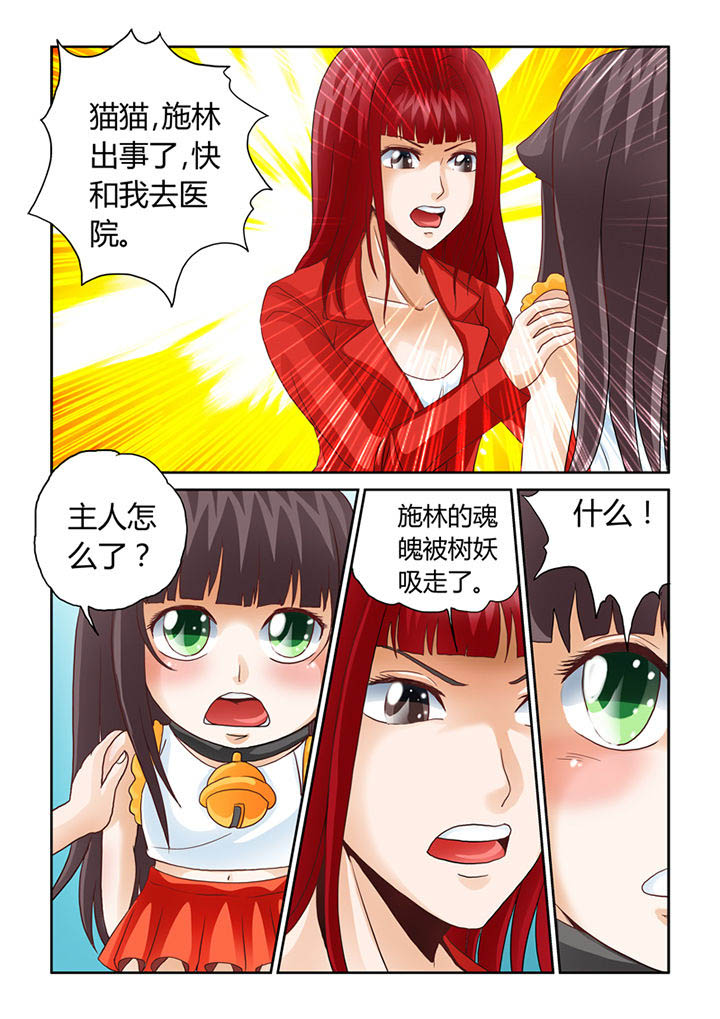 第8章：被吞噬的魂魄4