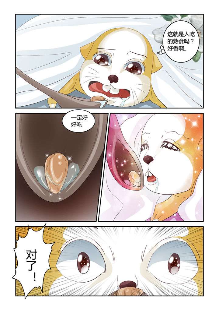第56章：仓鼠的回忆14