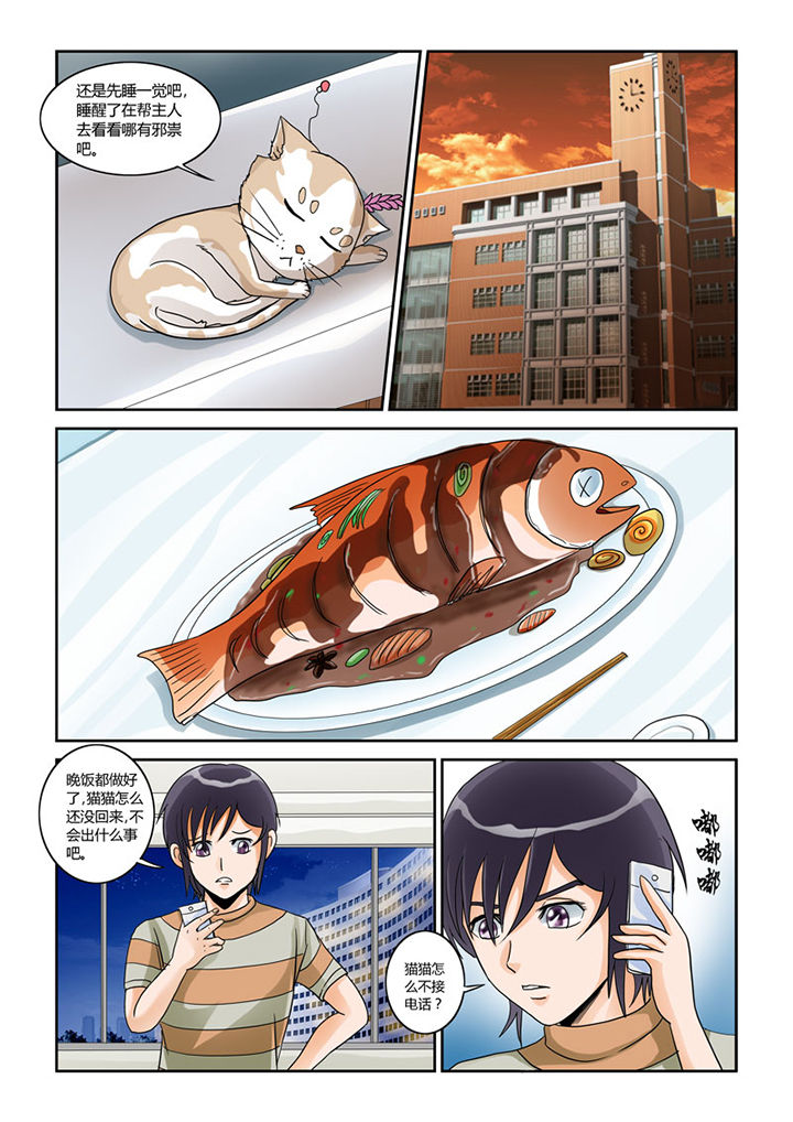 第4章：猫猫丢了吗5