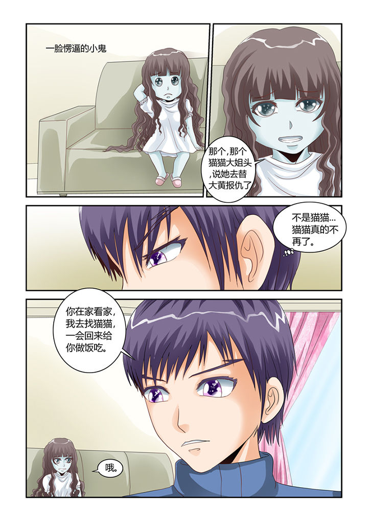 第54章：流浪猫7