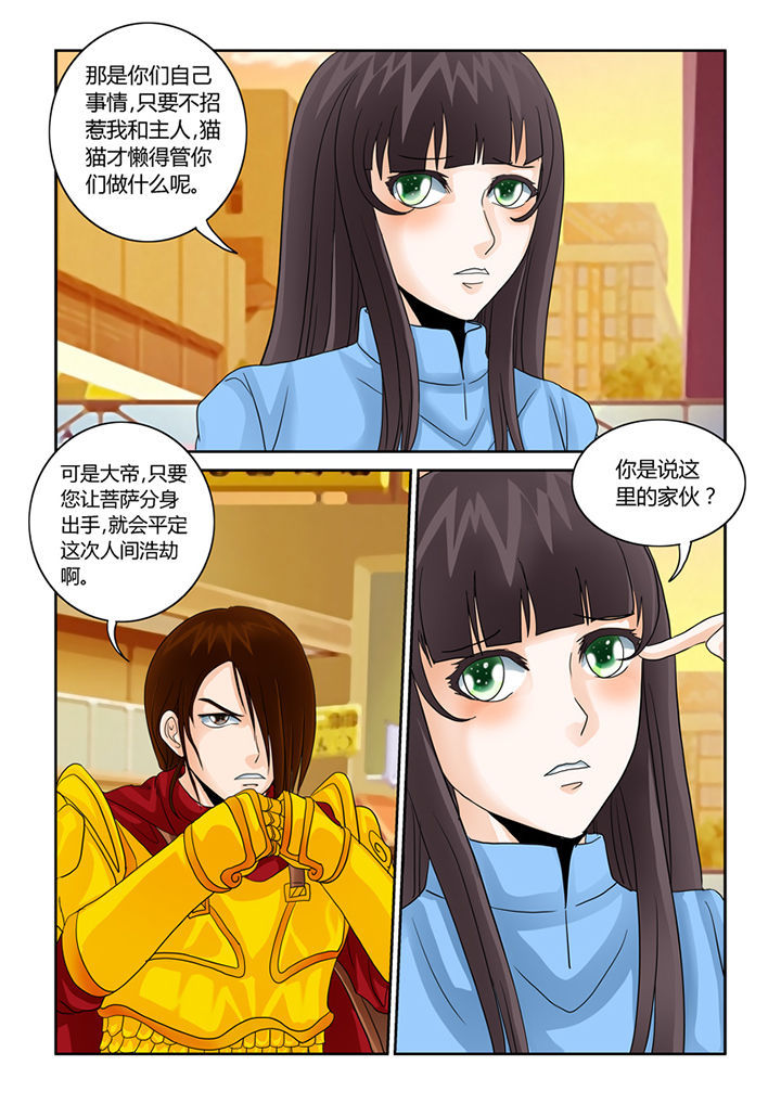 第41章：猫猫的一天12